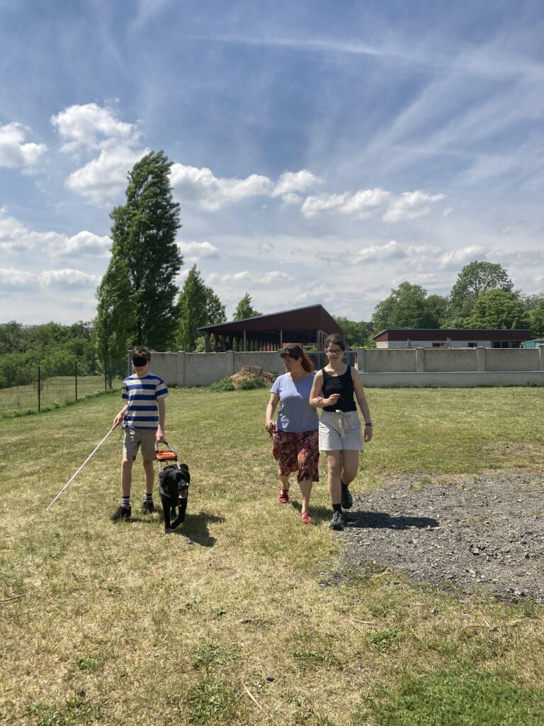 Procházka, Jelení